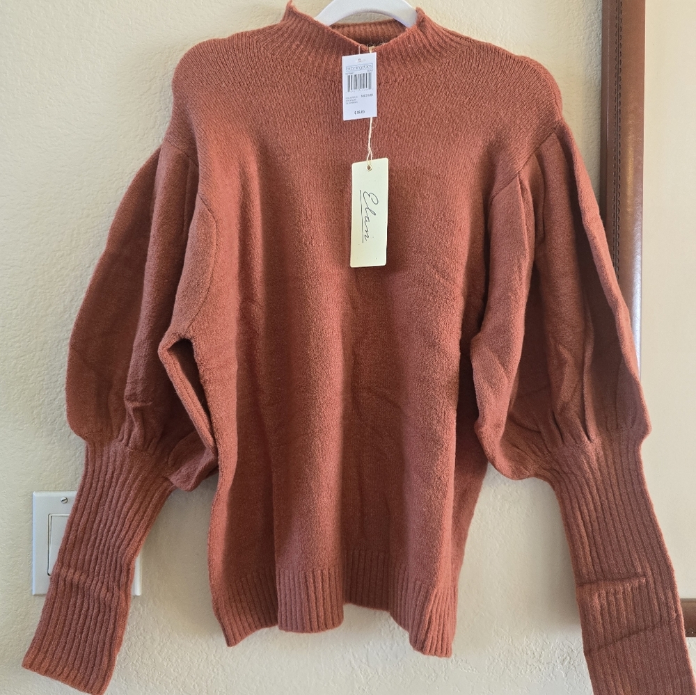 Elan Brown Turtleneck Sweater with Relaxed Fit